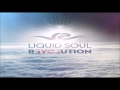 Liquid Soul Revolution Full Album
