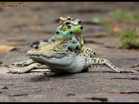 genocide FM TOWNS ost - BLAST