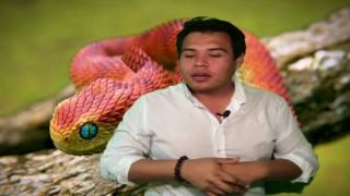 Promociona tu STAN de EXPO ANIMALIA