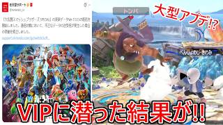 アップデートでスマブラに大型修正が入ったらしいのでVIPマッチ潜ってみた結果...