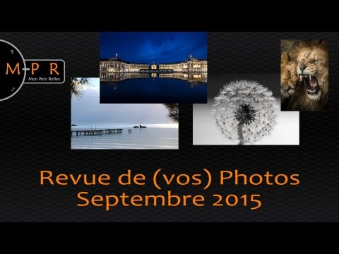 Revue de vos photos : champignons, couchers de soleils et un couple de mouches en train de... humhum