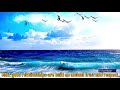 Good Morning Video