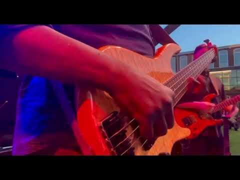 Cheikh Ndoye Bass (Live)