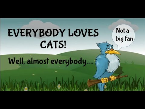 Cats - Unfiltered Gamer - Card Game Review