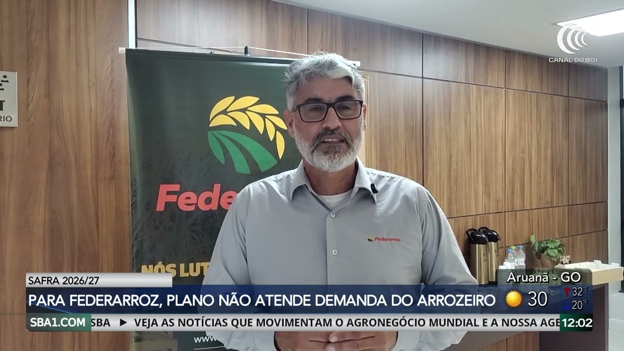 Plano Safra mantém juros elevados e deixa dúvidas sobre acesso ao crédito, avalia Federarroz