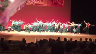 Yosakoi Dance Japan ! よさこい ! Japanese People