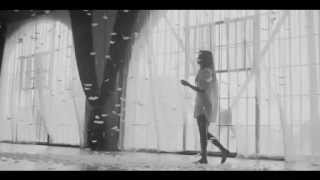 Jasmine V - I Love You Crazy (Official Music Video)