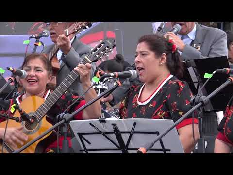 CUECAS MIL 2017, Los Chalaileros y el Conjunto Juncal