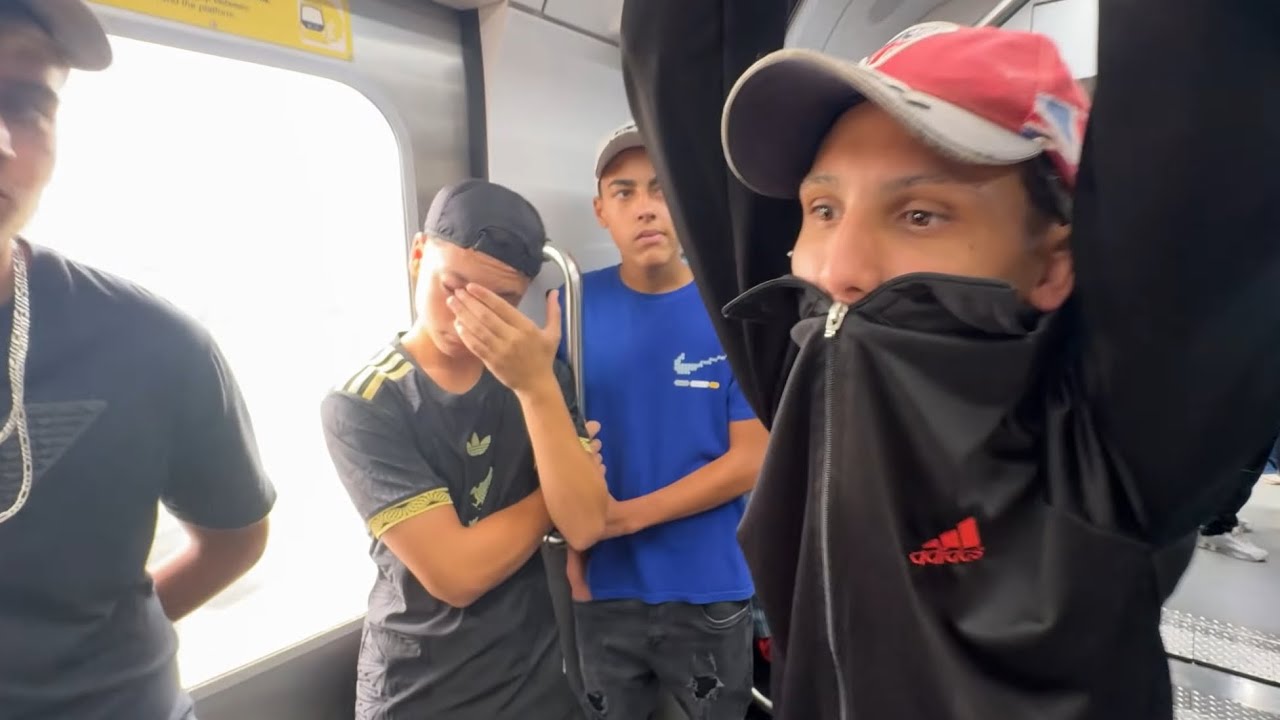 RESENHA NO TREM ATE O BRAS