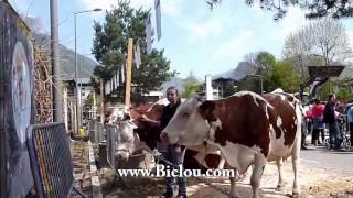 preview picture of video 'La fête des vaches à faverges en 2013'