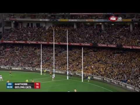 AFL 2013 Preliminary Final Hawthorn Vs Geelong
