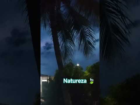 São José Do Mantimento............ MINAS GERAIS 🧀