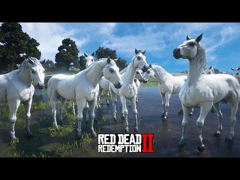 WHITE WILD HORSE MIGRATION - Red Dead Redemption 2