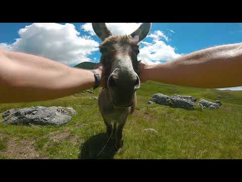 Cea mai frumoasa tura facuta in 2020 in Muntii Bucegi