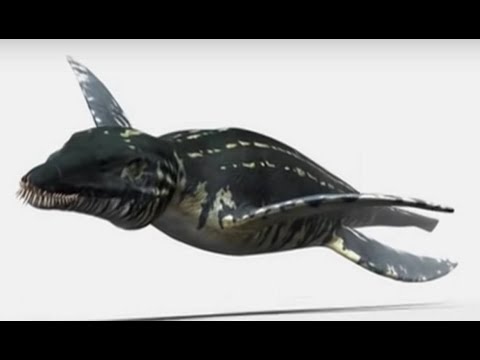 Prehistoric Assassins [2010] - Liopleurodon Screen Time