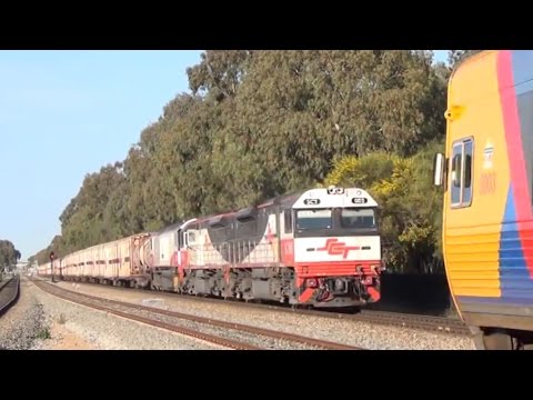 SCT 6MP9 & Railcars Passing Chidda
