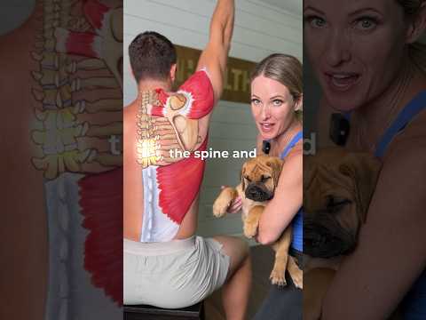 Shoulder and back anatomy made easy for visual learners #anatomy