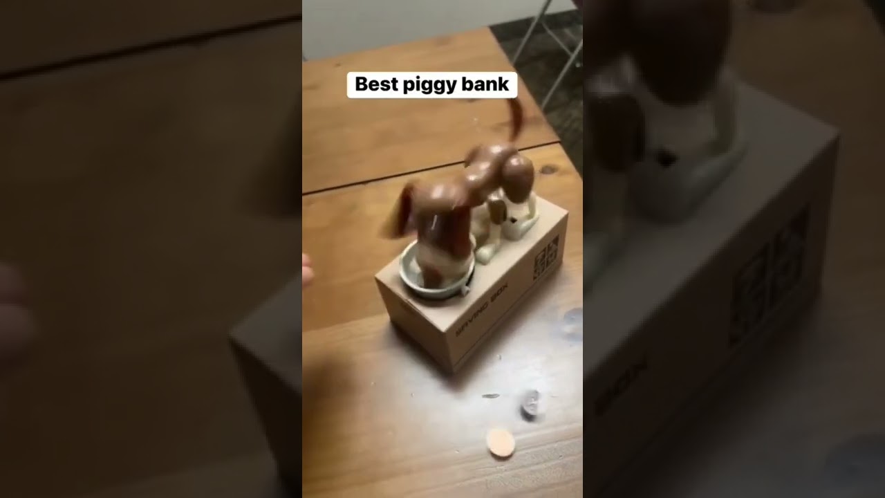 Best Piggy Bank 😂#funny #shorts #viralshorts