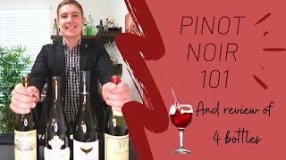 Pinot Noir 101 - Most popular light red wine! | Mr Wineowine |