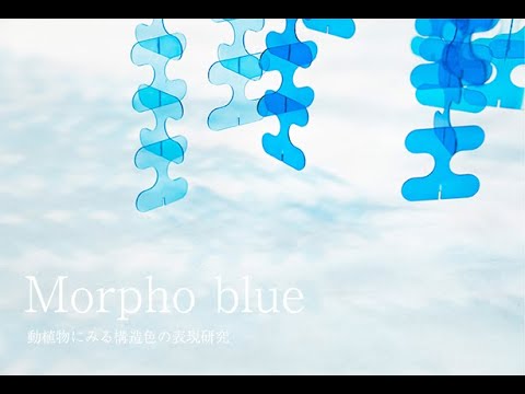 令和4年度 東北芸術工科大学 卒業／修了研究・制作作品「Morpho Blue」