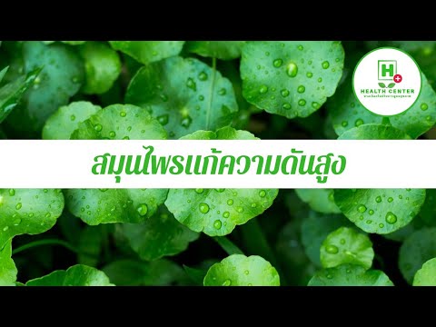 สูตรที่นิยมเพื่อเพิ่มความแข็งแรงของผู้ชาย Dominique แรง
