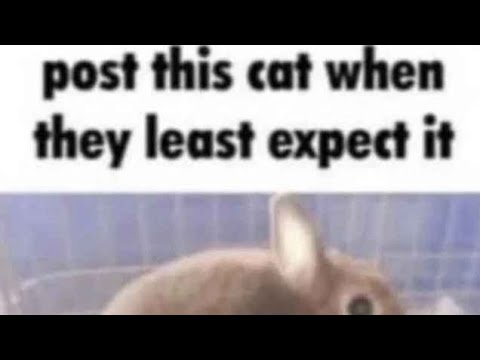 Destiny | The Pit (IA) Mix |