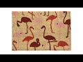 Paillasson coco avec flamants Marron - Rose foncé - Rouge - Fibres naturelles - Matière plastique - 60 x 2 x 40 cm