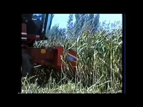 Loonw. De Bruyne -  Assenede