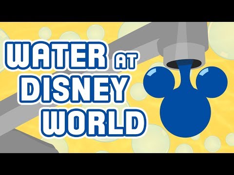 How Much Water is Used at Walt Disney World?