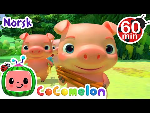 Tre små grise | Vuggesanger for Babyer | CoComelon Norsk