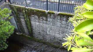 竹屋橋映像監視局