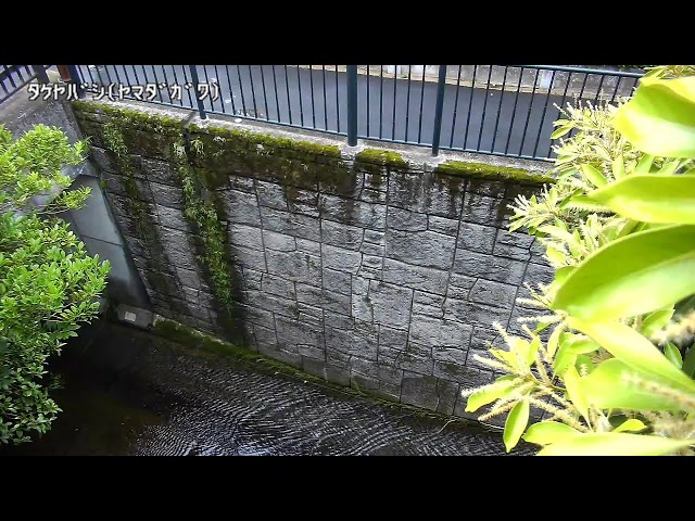 竹屋橋映像監視局