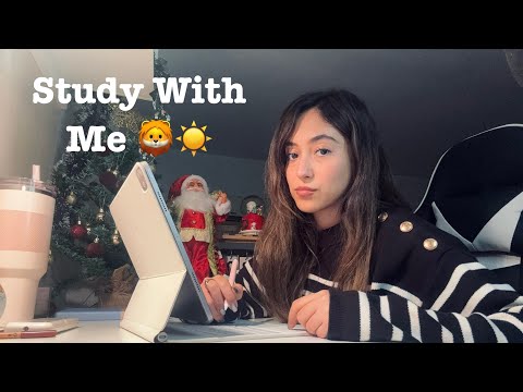 NIGHT Study With Me Live Stream 4 hours 🌙🌝