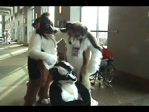 Skunk Fursuit