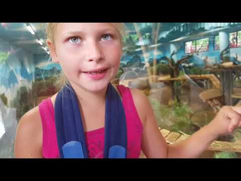 Vlog #123 Ouwehand dierenpark Onky Donky huis