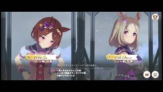【ウマ娘】チャンピオンズミーティングLONG　Bグループ決勝