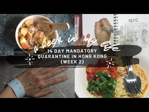 A week in my life | 14 days mandatory quarantine (Week 2)