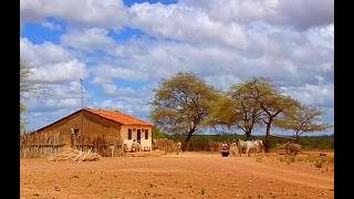 APARIÇÕES E MISTÉRIOS QUE AINDA ATERRORIZAM O NORDESTE