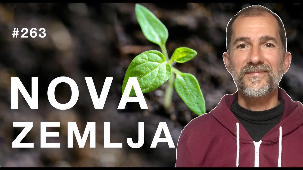 Nova Zemlja | Petkom kod bogumila #263