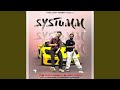 Systumm (feat. The UK07 Rider & Dushyant Bhatli)