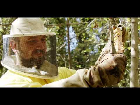 Carpegna in mountain bike