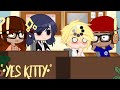 Yes Kitty Meme Adrinette Marichat MLB