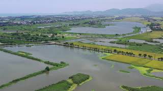 2019/6 五十二甲溼地空拍