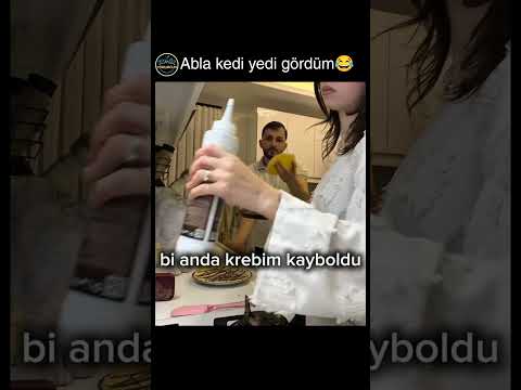 kedi bile şüphelendi @Nisa0furkan