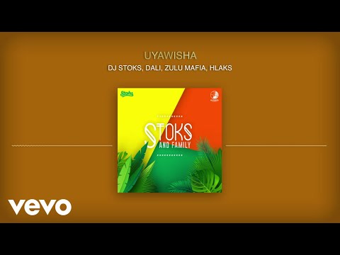 DJ Stoks, Dali, Zulu Mafia - Uyawisha (Visualizer) ft. Hlaks