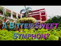 A Bitter-Sweet Symphony |St. Columba's School Graduation Film | Batch of 2020