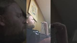 Kid Rock My Oedipus Complex (Guitar Cover)