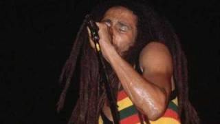 Bob Marley-Black progress