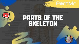 Parts of the Skeleton Song