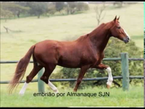 Maravilha do Morro Azul